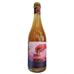 Trou du Diable - Le 17e Ciel - 750ml - La Bière à Boire