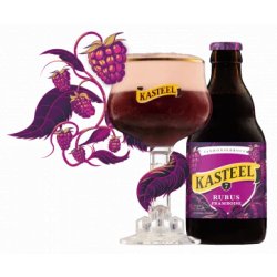 Brouwerij Van Honsebrouck  Kasteel Rubus Framboise (33cls) - Chester Beer & Wine