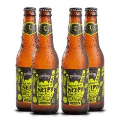 Cervejaria Louvada German Pilsner