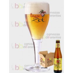 Brugse Zot Pack 6 botellas 33 cl y 1 copa - Cervezas Diferentes