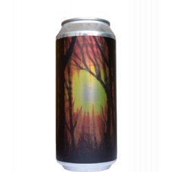 Tree House Brewing Co. Hold On To Sunshine - J&B Craft Drinks