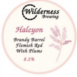 Wilderness Brewing Halcyon Sour - Craftissimo