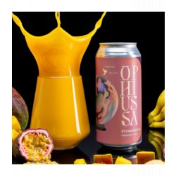 Ophiussa Premonition Ophiussa Premonition