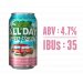 Founders Brewery All Day West Coast IPA 15 pack 12 oz. Can 