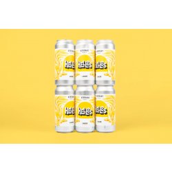 Verdant Brewing Co Munich Helles Verdant Brewing Co Munich Helles