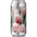 GlassHouse Beer Co Tulipa Pale Ale GlassHouse Beer Co Tulipa Pale Ale
