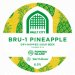 Vault City Bru-1 Pineapple Sour (Keg) Vault City Bru-1 Pineapple Sour (Keg)