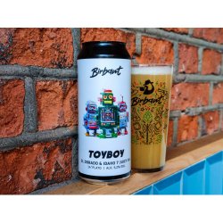 Birbant Toyboy 500ml - Funky Fluid