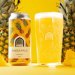 Vault City Pineapple Session Sour Vault City Pineapple Session Sour