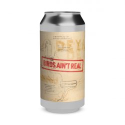 CoolHead Brew Tin Foil Hat Series #04: Birds Aint Real - Elings