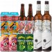 IPA Mix Smagekasse (12 stk.) (Gns. 22,75 kr. pr. øl) 