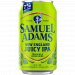 Samuel Adams - New England Juicy 