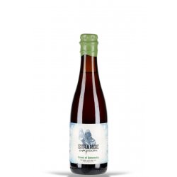 Strange Companion Forest of Saturnalia