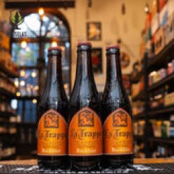 LA TRAPPE BOCKBIER - Bruselas