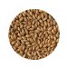 Crisp Clear Choice Malt 