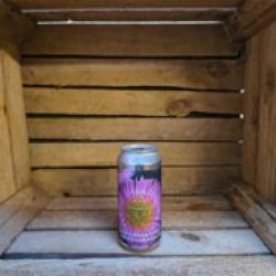 Ārpus Brewing Co. Apricot X Orange X Lemon X Vanilla Smoothie Sour Ale