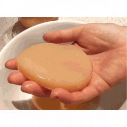 Kombucha Scoby - TicoBirra