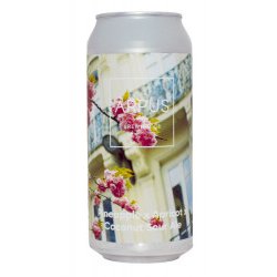 ARPUS – Pineapple x Apricot x Coconut Sour Ale - Bereta Brewing Co.