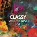 Funky Fluid Classy West Coast IPA Funky Fluid Classy West Coast IPA