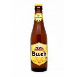 Bush Blonde - Yo pongo el hielo