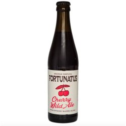 Fortunatus Cherry Wild Ale 330ml - Funky Fluid