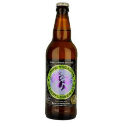 Purple Moose Ysgawen (Elderflower Ale) - Beers of Europe