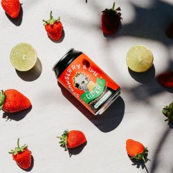 Mount Brewing Co  Strawberry & Lime Cider
