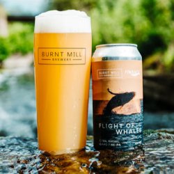 Burnt Mill  Finback - Flight Of The Whales - 6% NE IPA - 440ml Can - The Triangle