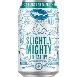 Dogfish Head Slightly Mighty Lo-Cal IPA 20 oz. Can - Kelly’s Liquor