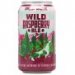 Great Divide Wild Raspberry Ale 0,335l 