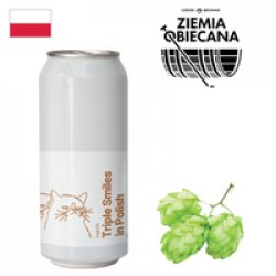 Ziemia Obiecana Triple Smiles in Polish 500ml CAN - Drink Online - Drink Shop