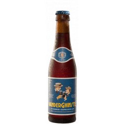 Vander Ghinste Rood Bruin 250ml - The Beer Cellar