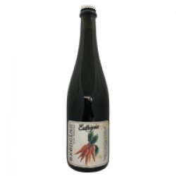 Euthòpia Exencias Zanahoria Sour Natural 0.75L - Mefisto Beer Point