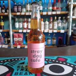 Pilton - Stray Dog Cafe - Independent Spirit of Bath