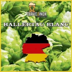 Hallertau Blanc (flor) - Cervezinox