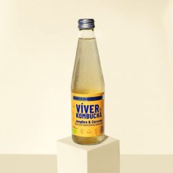 Viver KOMBUCHA JENGIBRE & CÚRCUMA - Viver Kombucha