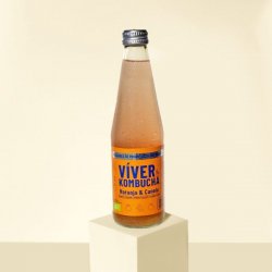 Viver KOMBUCHA NARANJA & CANELA - Viver Kombucha