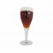 Verre Brugse Zot 33 cl 