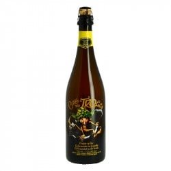 Bière Belge Blonde Cuvée des Trolls 75cl - Calais Vins