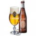 Corsendonk Agnus 7.5°-13L Corsendonk Agnus 7.5°-13L