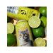 Noctem Artisans Brasseurs El Gato Lime Noctem Artisans Brasseurs El Gato Lime