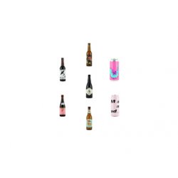 Around the World Beer Variety Pack - CraftShack