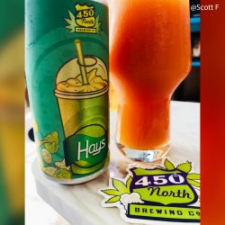 450 North Brewing Co.. Slushy XL [Hays] - Brew Export