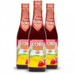 Huyghe Brewery  Floris Fraise (24x330ml) - House of Ales