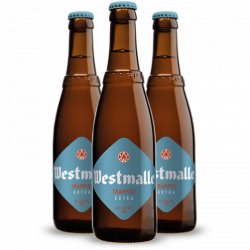 Westmalle  Extra (24x330ml) - House of Ales