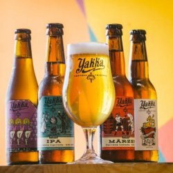 Yakka Pack Brindis - Cervezas Yakka