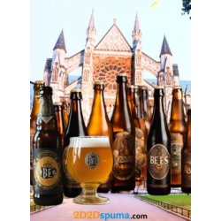 Pack de 7 Cervezas de Abadía + 1 Copa + 1 Abridor Llave Antigua - 2D2Dspuma