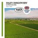 Pinta Hazy Discovery Oregon 0,5l  Double New England IPA 