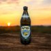 AYINGER LAGER HELL 500ml 