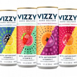 Vizzy Hard Seltzer Variety #2 12 pack12 oz cans - Beverages2u